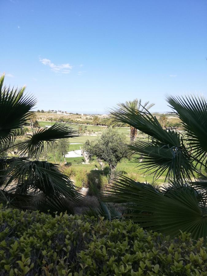 Bajo Con Jardín Propio En Valle Del Golf!!
